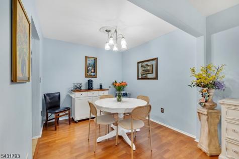 19 Meadowview Drive Clinton NJ 08801