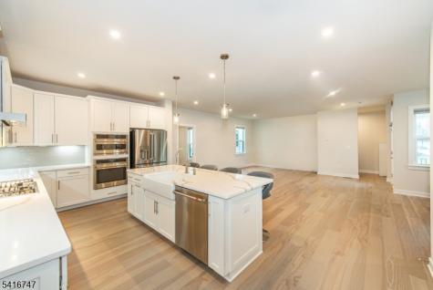 24 Willow Lane Parsippany-troy Hills NJ 07054