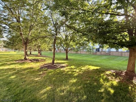 3207 French Drive Bridgewater NJ 08807