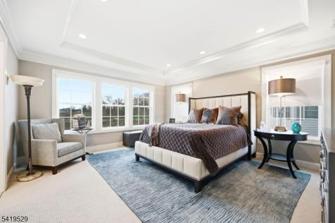 11 Lee Drive Morris NJ 07960