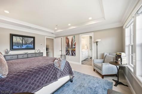 11 Lee Drive Morris NJ 07960