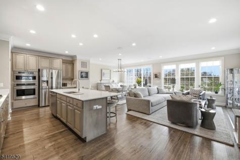 11 Lee Drive Morris NJ 07960