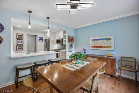 9 Sentinel Court Chatham NJ 07928