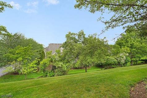 29 Heatherwood Lane Bedminster NJ 07921