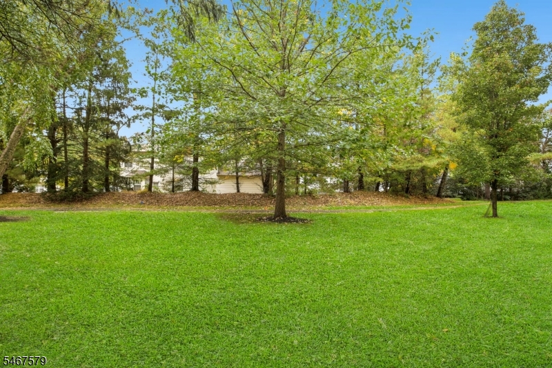 2 Charleston Court Bernards NJ 07920