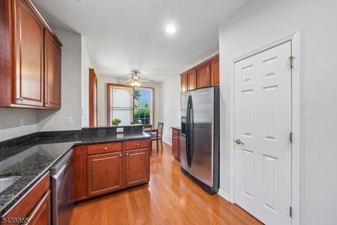 11 Hopkins Court Parsippany-troy Hills NJ 07054