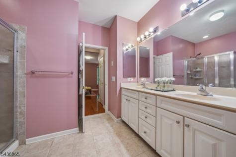 11 Hopkins Court Parsippany-troy Hills NJ 07054
