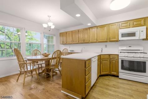9 Northbridge Place Morris NJ 07960