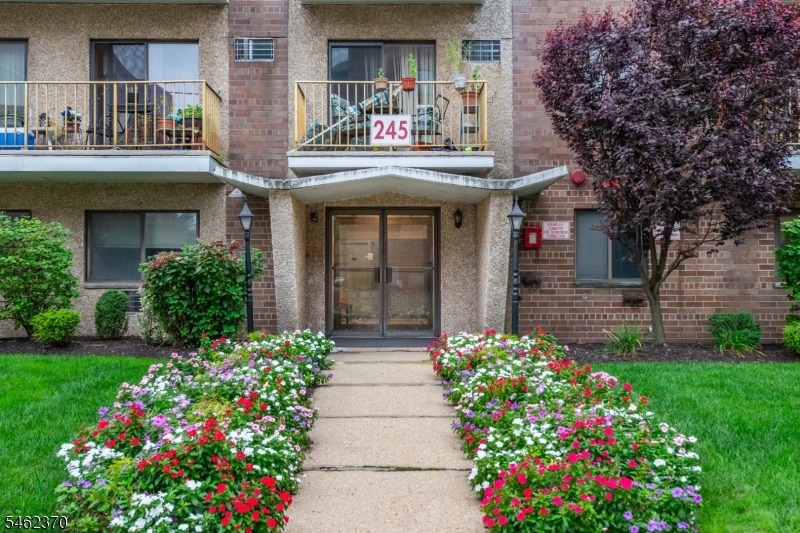 245 Anderson Street Hackensack NJ 07601