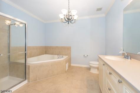 29 Ridgeview Lane Mount Arlington NJ 07856