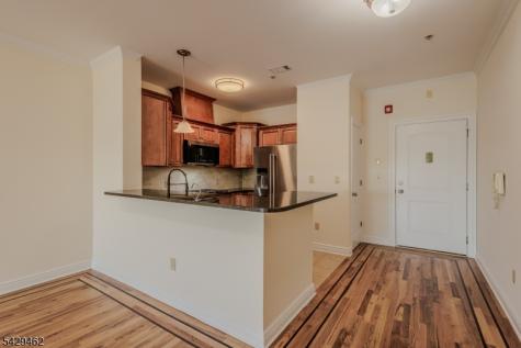 29 Freeman Street Newark NJ 07105