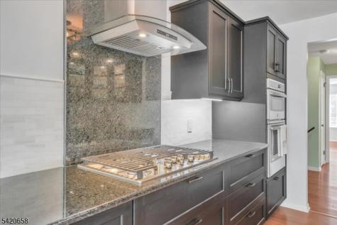 240 Riveredge Drive Chatham NJ 07928