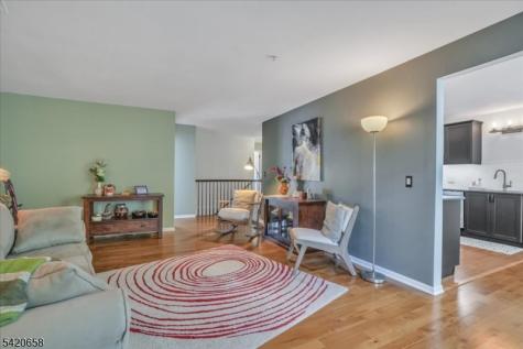 240 Riveredge Drive Chatham NJ 07928