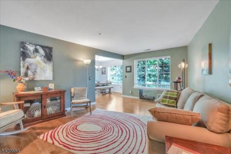 240 Riveredge Drive Chatham NJ 07928