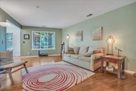 240 Riveredge Drive Chatham NJ 07928
