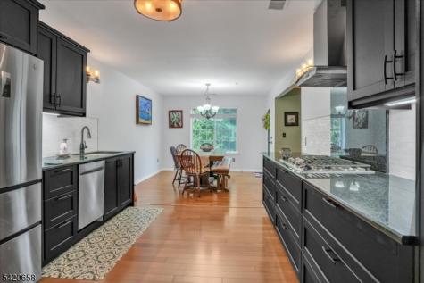 240 Riveredge Drive Chatham NJ 07928
