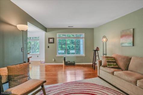 240 Riveredge Drive Chatham NJ 07928