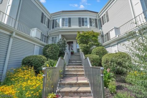 240 Riveredge Drive Chatham NJ 07928