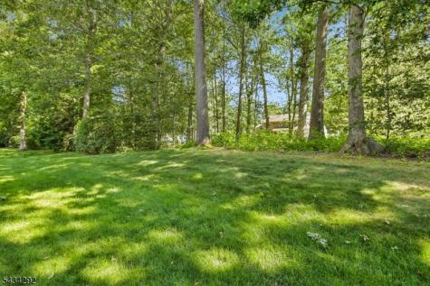 22 Woodcrest Drive Morris NJ 07960