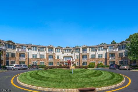 379 Victoria Drive Bridgewater NJ 08807