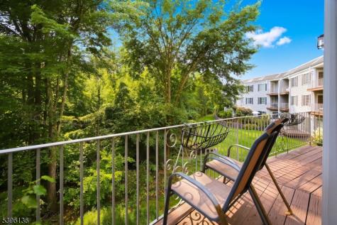 215 Riveredge Drive Chatham NJ 07928