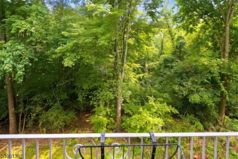215 Riveredge Drive Chatham NJ 07928
