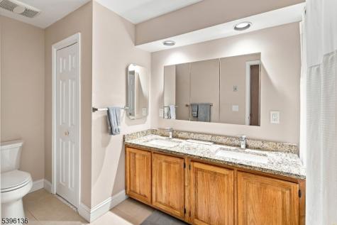 215 Riveredge Drive Chatham NJ 07928