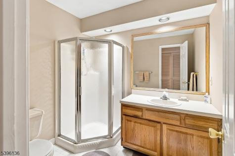 215 Riveredge Drive Chatham NJ 07928