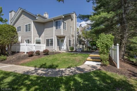 11 Tory Court Bedminster NJ 07921