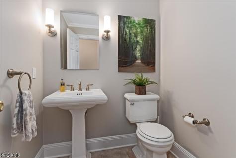45 Pippins Way Morris NJ 07960