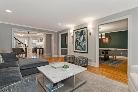 45 Pippins Way Morris NJ 07960