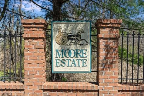 45 Pippins Way Morris NJ 07960