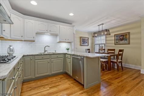 45 Pippins Way Morris NJ 07960