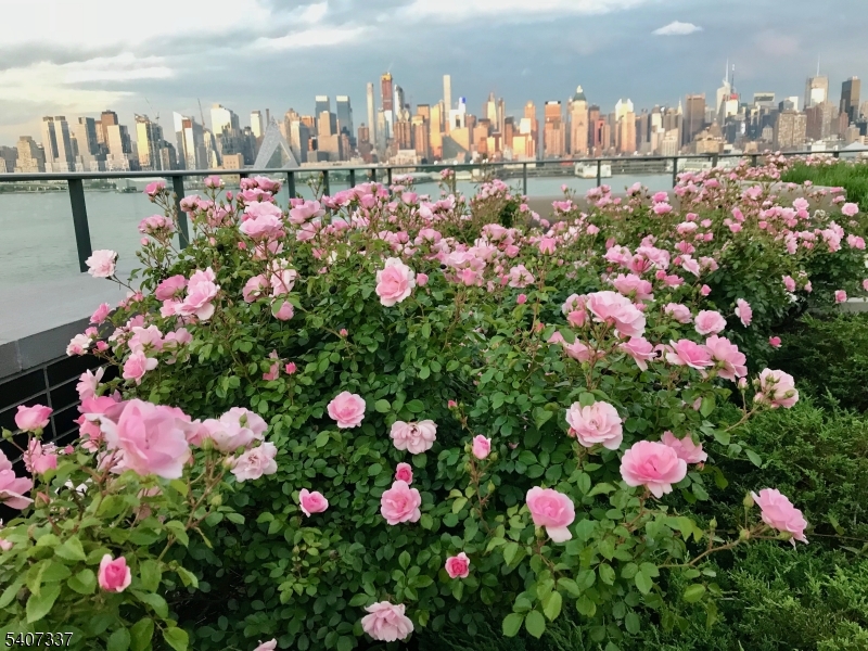 1200 Avenue At Port Imperial Weehawken NJ 07086