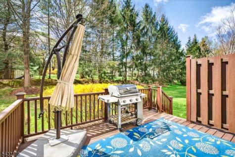 19 Cooper Lane Long Hill NJ 07946