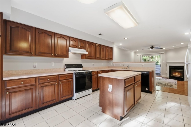 1802 S Branch Drive Readington NJ 08889