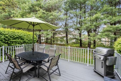 23 Wyckoff Way Chester NJ 07930