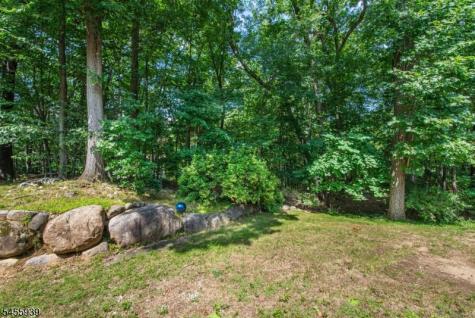 31 Lockley Court Mountain Lakes NJ 07046