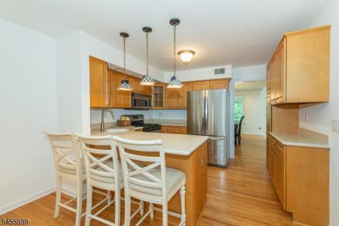 31 Lockley Court Mountain Lakes NJ 07046