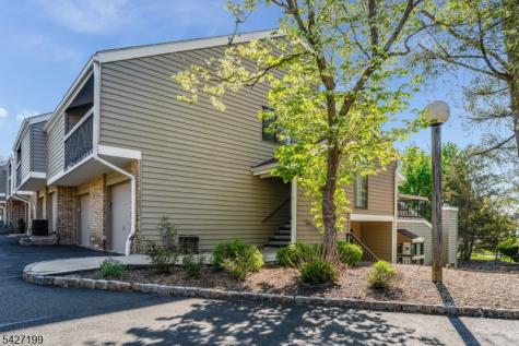 3 N Slope Union NJ 08809