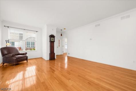 22 Samson Drive Raritan NJ 08822