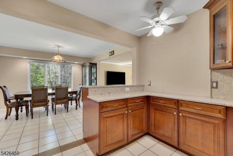 11 Edgefield Drive Parsippany-troy Hills NJ 07950