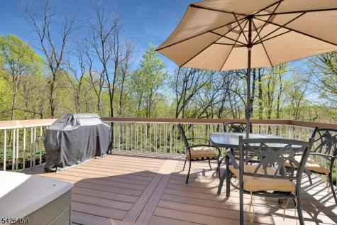 11 Edgefield Drive Parsippany-troy Hills NJ 07950