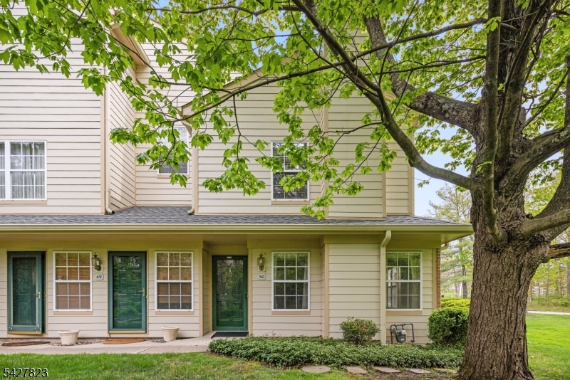 50 Davenport Place Morris NJ 07960
