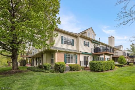 50 Davenport Place Morris NJ 07960