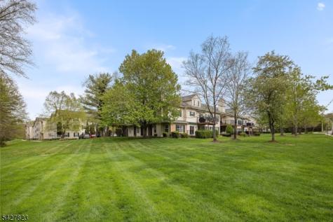 50 Davenport Place Morris NJ 07960