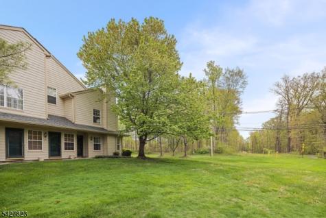 50 Davenport Place Morris NJ 07960