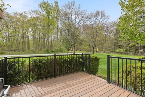 50 Davenport Place Morris NJ 07960