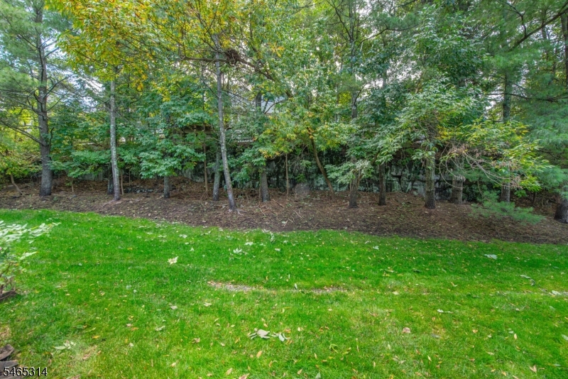 115 Ridge Drive Montville NJ 07045
