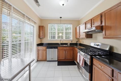 7 Witherspoon Court Morris NJ 07960